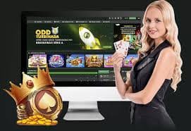 mbi8win